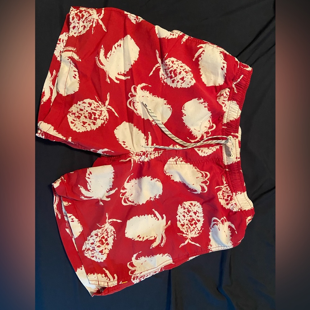 Quiksilver Swim Trunks